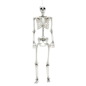 White full-body skeleton prop with poseable joints; skull and ribs centered