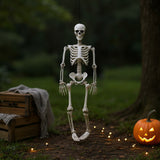 Hanging realistic skeleton figure with articulated arms and legs, long pose.