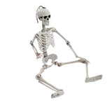 Posable skeleton prop in a crouched pose, showing skull and articulated limbs.