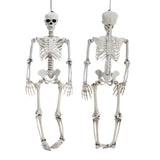 Realistic skeleton decoration, front and back view, posable joints, hanging.