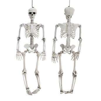 Realistic skeleton decoration, front and back view, posable joints, hanging.