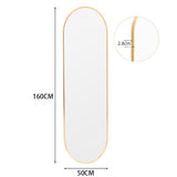 Gold oval wall mirror 50cm W x 160cm H, slim 2.8cm metal frame