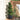 Artificial boxwood spiral topiary tree, dense green leaves, in a dark gray planter