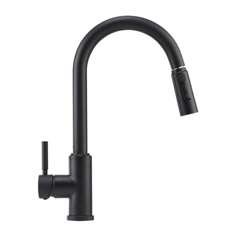 Black stainless steel kitchen faucet, single handle design with curved gooseneck