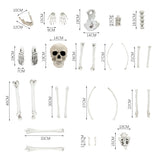 Skeleton bones decoration set parts diagram with skull and limbs, labeled dimensions