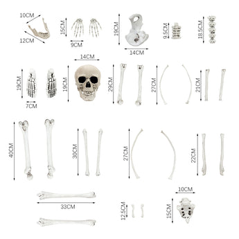 Skeleton bones decoration set parts diagram with skull and limbs, labeled dimensions